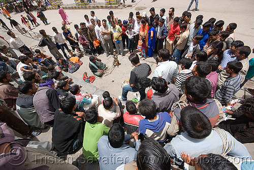 street circus show with trained monkey - manali (india), circus animal, crowd, manaly, monkey, street performer