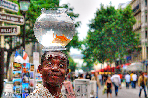 street performer with fishbowl on head (paris), african, ali, black man, bowl, fishbowl, goldfish, head, juggler, live fish, street performer