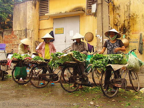 street vendors - bicycles - produce market - vietnam, bicycles, bikes, farmers market, hanoi, produce market, street market, street seller, street vendors, vegetables