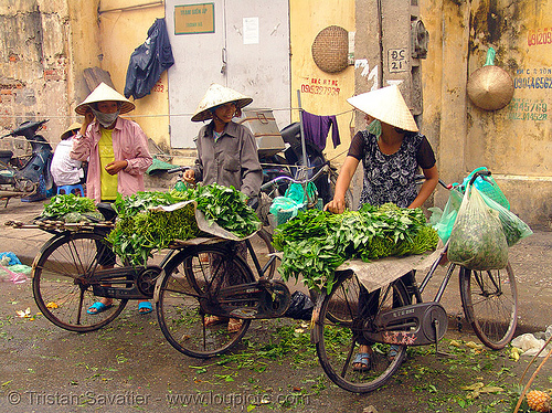 street vendors with bicycles - produce market - vietnam, bicycles, bikes, farmers market, hanoi, merchant, street market, street seller, street vendors, vendor