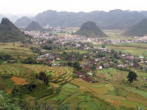 tám sơn - fields - terrace farming - vietnam, agriculture, rice fields, rice paddies, terrace farming, terraced fields, tám sơn