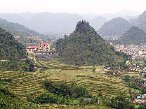 tám sơn - terrace farming - rice fields - vietnam, agriculture, landscape, rice paddies, rice paddy fields, terrace farming, terraced fields, tám sơn