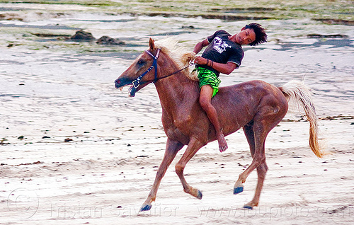 teenager riding his horse bareback on the beach (indonesia), bare feet, bareback riding, beach, boy, bridle, gallop, galloping, horse tack, horseback riding, lombok, man, pantai, reins, rider, running, skinny, yougster