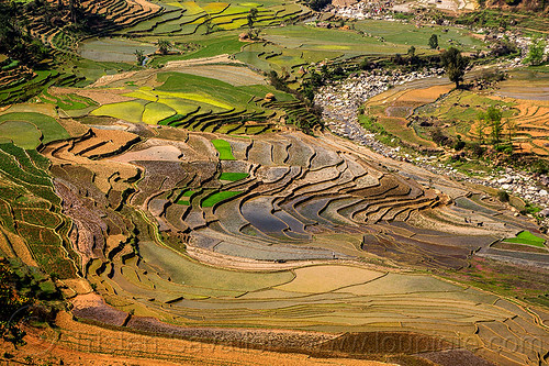 terrace farming - paddy fields (nepal), agriculture, landscape, rice fields, rice paddies, river, terrace farming, terraced fields, valley