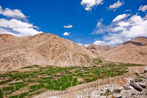 terraced fields, upper chemrey valley - road to pangong lake - ladakh (india), chemrey valley, ladakh, landscape, mountains, rice fields, rice paddies, terrace farming, terraced fields
