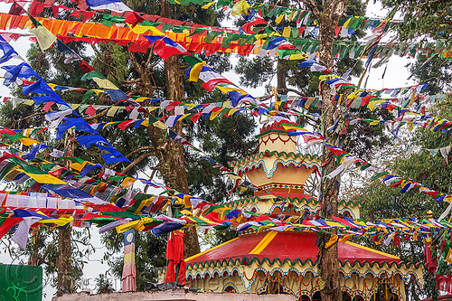 tibetan prayer flags - observatory hill - darjeeling (india), buddhism, darjeeling, hindu temple, hinduism, observatory hill, prayer flags, tibetan, trees