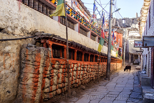 tibetan prayer wheels in kagbeni village (nepal), annapurnas, buddhism, cow, kagbeni, kali gandaki valley, prayer mills, prayer wheels, tibetan, village