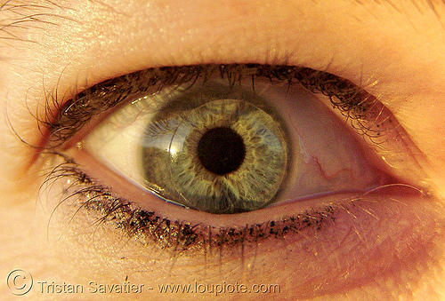 tiffney's eye (with contact lens!), beautiful eyes, closeup, contact lenses, contacts, eye color, eyelashes, iris, tiffney, woman