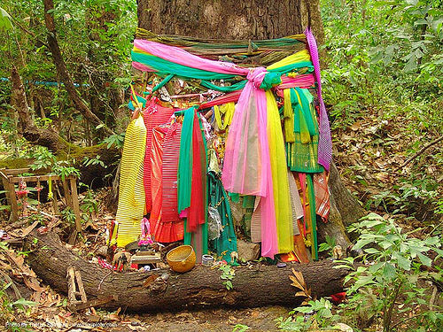 ผ้าแพรเจ็ดสี - tree offerings - thailand, altar, cloth, forest, tree offerings, trunk, ผ้าแพรเจ็ดสี
