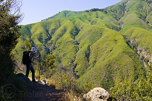 trekking in the vantana wilderness (california), backpack, backpacking, big sur, hiking, pine ridge trail, sun hat, trekking, vantana wilderness, walking stick, woman