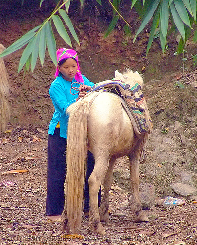 tribe girl and her horse - vietnam, bảo lạc, colorful, hill tribes, horseback riding, indigenous, vietnamese hmong horse, working animal