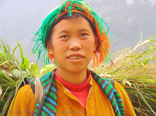 tribe girl carrying grass - vietnam, child, colorful, gold teeth, hill tribes, indigenous, kid, ma pi leng pass, mã pí lèng pass, woman