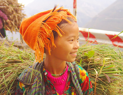tribe girl carrying grass - vietnam, child, colorful, hill tribes, indigenous, kid, little girl