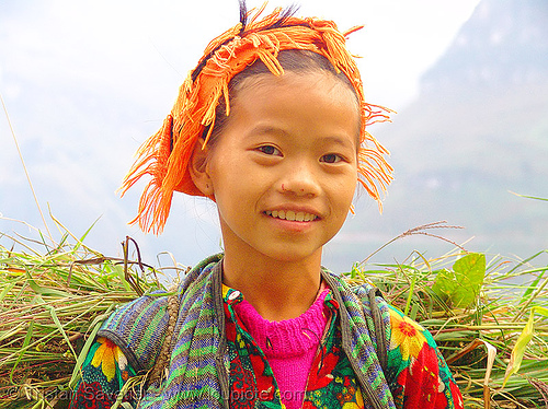 tribe girl carrying grass - vietnam, child, colorful, hill tribes, indigenous, kid, little girl, ma pi leng pass, mã pí lèng pass