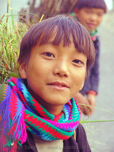 tribe kids carrying grass - vietnam, boys, child, colorful, hill tribes, indigenous, kid, ma pi leng pass, mã pí lèng pass
