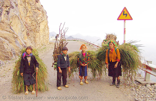 tribe kids carrying grass - vietnam, asian woman, asian women, boys, children, girls, hill tribes, indigenous, kids, little girl, ma pi leng pass, mã pí lèng pass, road