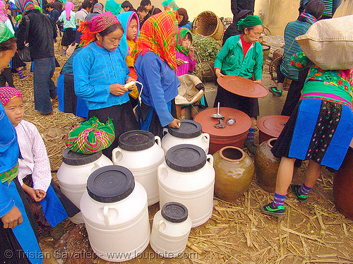 tribe women selling home-made corn wine (alcohol) - vietnam, colorful, corn alcohol, corn wine, hill tribes, indigenous, mèo vạc, rượu ngô, street market, street seller, vodka