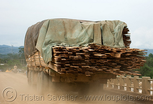 truck loaded with lumber (laos), dust, heavy load, lorry, lumber, road, timber, truck, wood