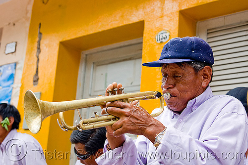 trumpet player - carnival in jujuy capital (argentina), andean carnival, argentina, carnaval de la quebrada, jujuy capital, man, noroeste argentino, san salvador de jujuy, trumpet player