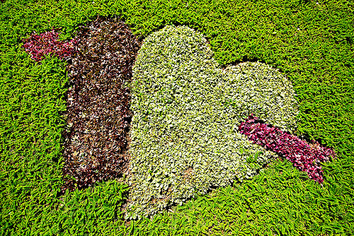 two hearts pierced with arrow - turf, bolivia, grass, la paz, lawn, love, pierced, symbol