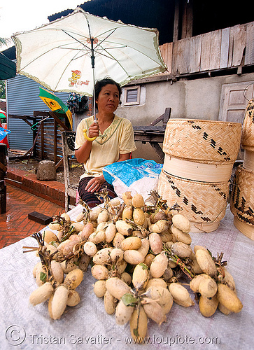 unidentified fruit on the market - luang prabang (laos), farmers market, fruits, grapes, luang prabang, street market, street seller, street vendor, umbrella