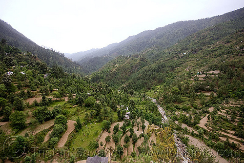 valley north of jalori pass (india), agriculture, landscape, mountain river, mountains, terrace farming, terraced fields, trees, v-shaped valley
