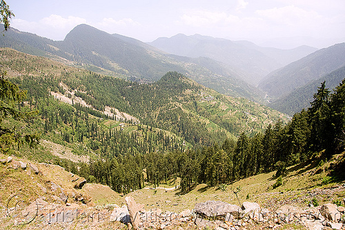 view from jalori pass (india), forest, jalori pass, jalorila, landscape, mountain pass, mountains, valley