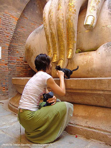 ลูกแมว - พระพุทธรูป - wat si chum - อุทยาน ประวัติศาสตร์ สุโขทัย - เมือง เก่า สุโขทัย - sukhothai - thailand, black kitten, buddha image, buddha statue, buddhism, buddhist temple, cat, cross-legged, fingers, giant buddha, gilded, hand, sculpture, skinny, sukhothai, wat si chum, woman, พระพุทธรูป, วัดศรีชุม, อุทยาน ประวัติศาสตร์ สุโขทัย, เมือง เก่า สุโขทัย