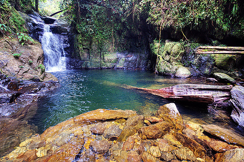 waterfall and swimming hole - garden of eden - mulu (borneo), borneo, cascade, falls, gunung mulu national park, jungle, malaysia, rain forest, river, waterfall