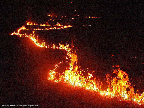 wild grass fire at night (thailand), burning, grass fire, night, wild fire