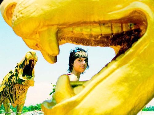 with-golden-lions - anke-rega, cross-processed, golden color, hindu, hinduism, woman