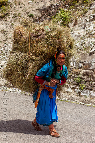 woman carrying large bundle of hay (india), alaknanda valley, bundle, carrying, hay, indian woman, mountains, road