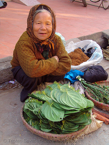 woman selling betel nuts and leaves on the market - vietnam, areca nut, asian woman, betel leaves, betel nut, betel quids, betelnuts, cau, lang sơn, lá trầu, mature woman, merchant, old, street market, street seller, vendor
