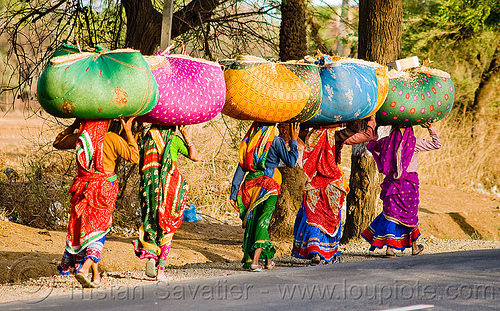 women in sari carrying bags (india), bags, bundles, carrying on the head, colorful, hay, indian woman, indian women, lined-up, rajasthan, road, row, sarees, saris, walking