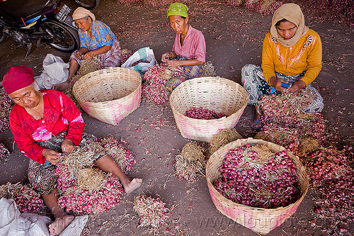 women working in shallot bulk market, allium cepa, baskets, bulk market, foodstuff, produce market, rattan, shallots, sitting, vegetable, veggie, women, working