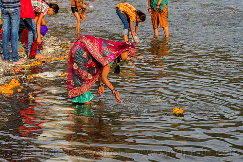 young indian woman making an offering on the ganges river - triveni ghat (india), bathing pilgrims, floating, ganga, ganges river, ghats, hinduism, holy bath, holy dip, indian woman, nadi bath, offering, rishikesh, river bathing, saree, sari, triveni ghat