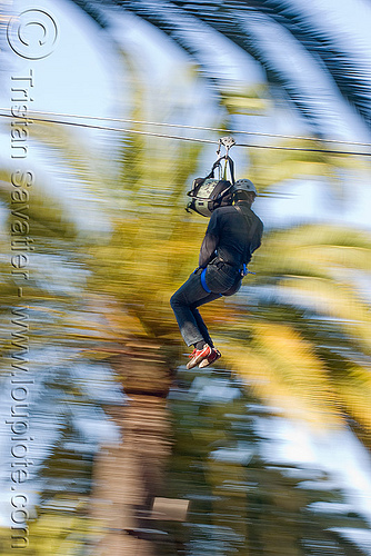 zip-line over san francisco, adventure, blue sky, cable line, cables, climbing helmet, embarcadero, hanging, mountaineering, moving fast, palm trees, speed, steel cable, trolley, tyrolienne, urban, zip line, zip wire