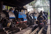 Darjeeling Himalayan Railway Steam Trains