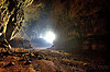 Deer Cave - Mulu (Borneo)