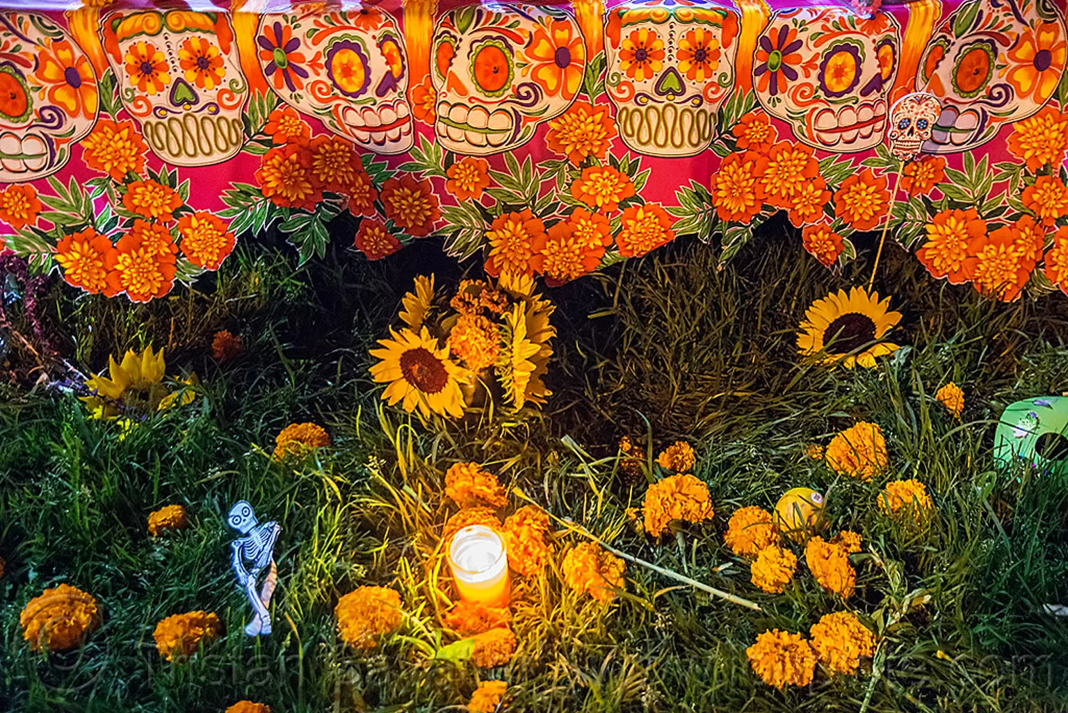 altar de muertos with marigold flowers and sugar skull decorations, dia