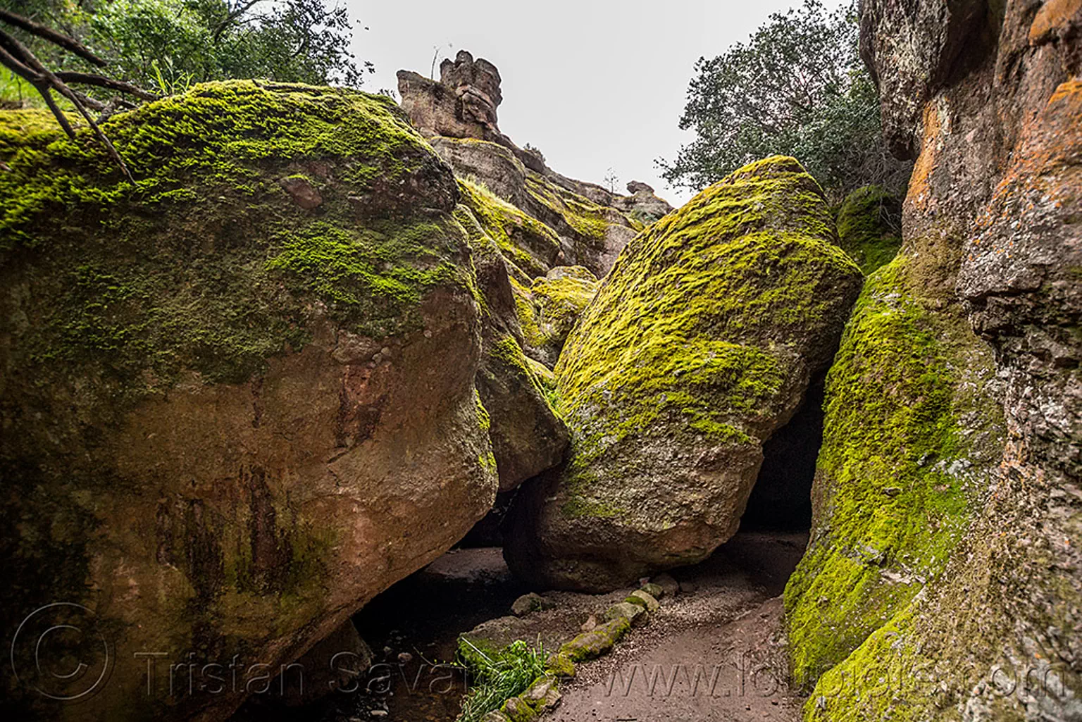 bear gulch cave trail - pinnacles national park (california), boulders, gulch, hiking, moss, pinnacles national park, talus cave, trail