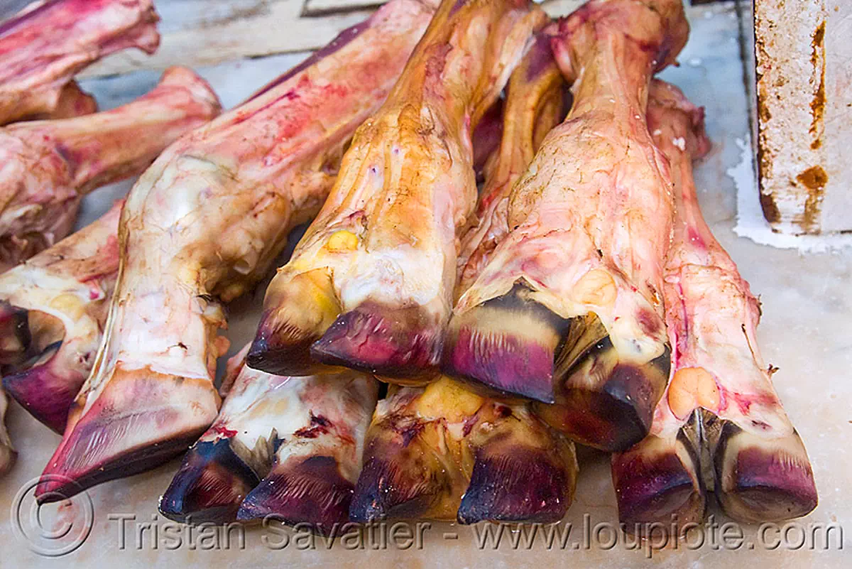 beef feet - meat market, argentina, beef, butcher, feet, meat market, meat shop, mercado central, noroeste argentino, raw meat, salta