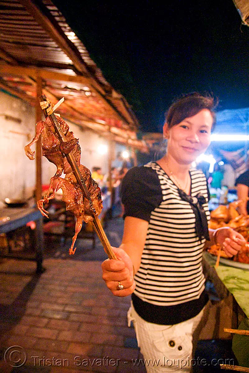 birds on a stick - luang prabang (laos), birds, brochette, cooked, food, laos, luang prabang, quails, roasted, stick