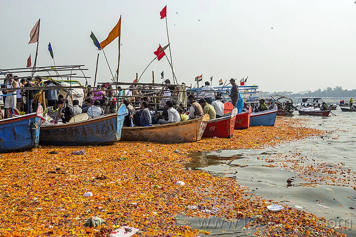boats and flower offerings on the ganges river, colorful, flags, floating, flower offerings, ganga, ganges river, hindu pilgrimage, hinduism, kumbh mela, orange flowers, paush purnima, pilgrims, river boats, triveni sangam