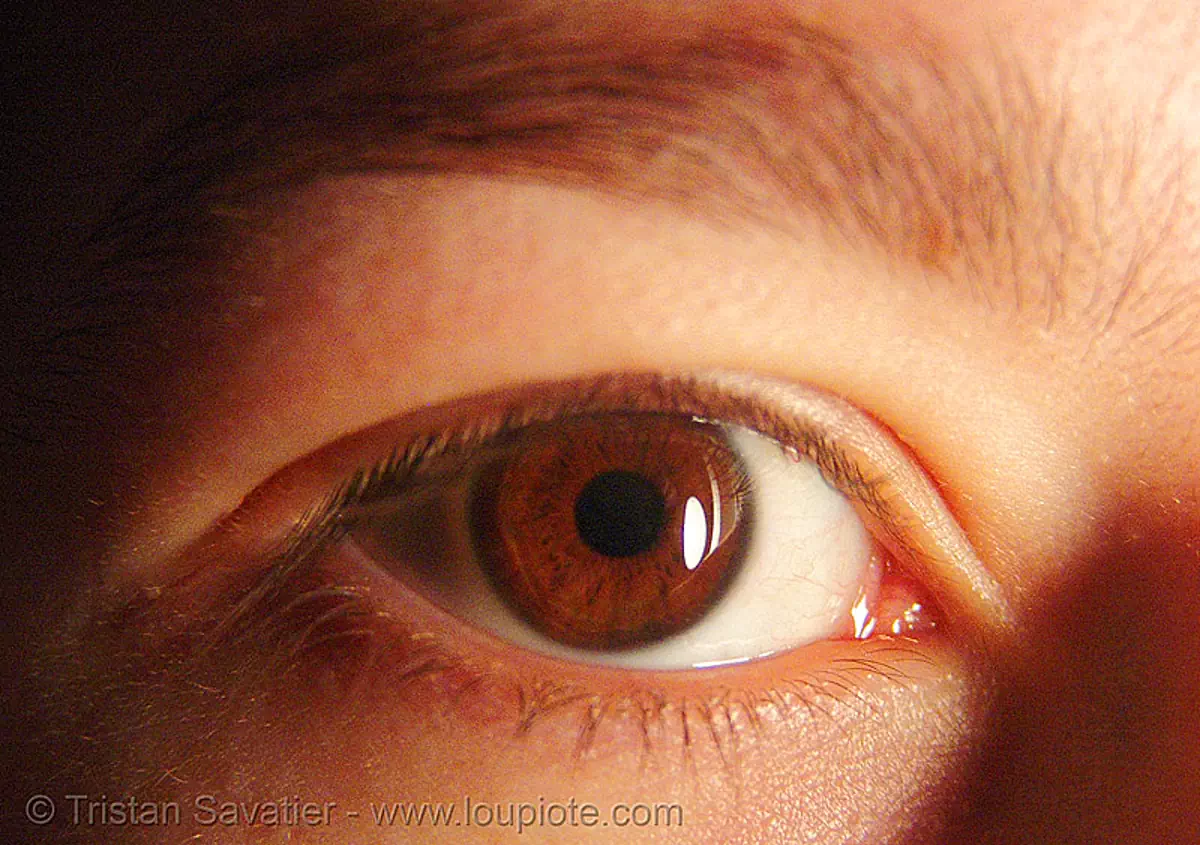 brown eye closeup - coraline, close up, cora, eye color, iris, woman