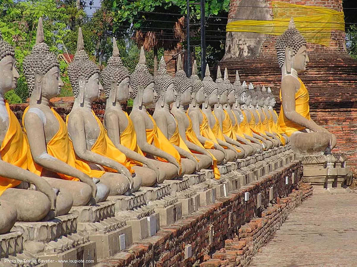 พระพุทธรูป - buddha statues raw - อุทยาน ประวัติศาสตร์ สุโขทัย - เมือง เก่า สุโขทัย - sukhothai - thailand, buddha image, buddha statue, buddhism, buddhist temple, cross-legged, identical, row, sculpture, sukhothai, thailand, wat, พระพุทธรูป, อุทยาน ประวัติศาสตร์ สุโขทัย, เมือง เก่า สุโขทัย