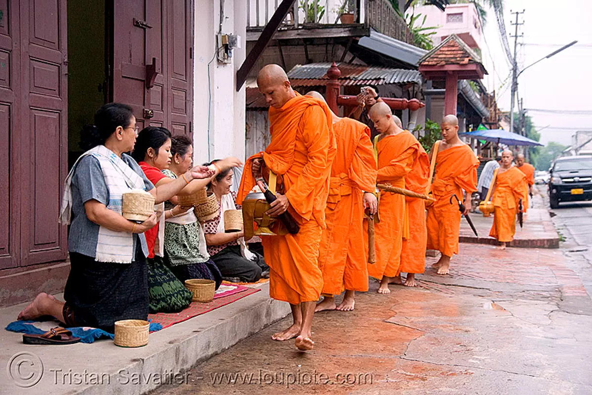 buddhist monks receiving alms at dawn, luang prabang, laos