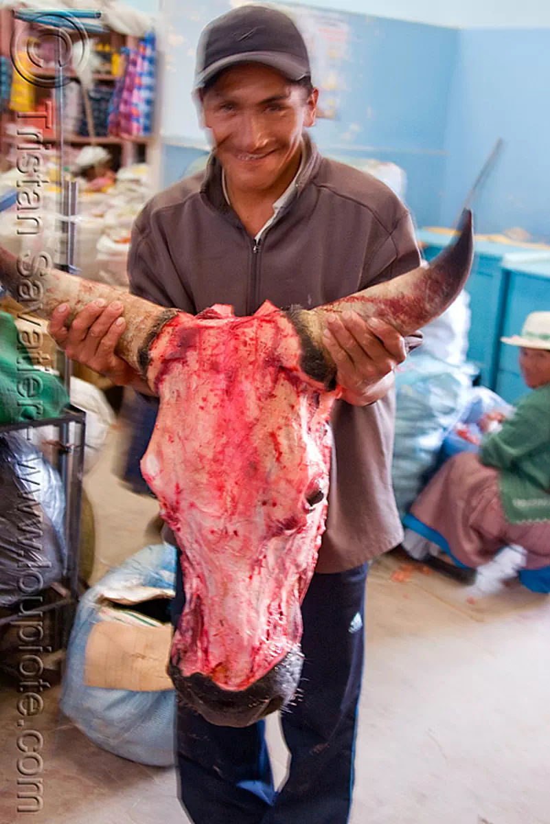 butcher holding skinned cow head (bolivia), beef, bolivia, butcher, cow head, delivery, man, meat market, meat shop, raw meat, skinned, uyuni