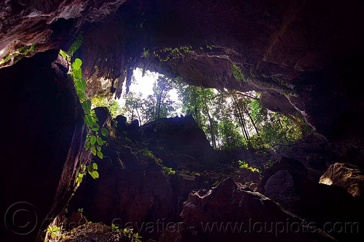 caving in mulu - clearwater cave mouth (borneo), backlight, borneo, cave mouth, caving, clearwater cave system, clearwater connection, gunung mulu national park, malaysia, natural cave, plants, rain forest, spelunking, trees