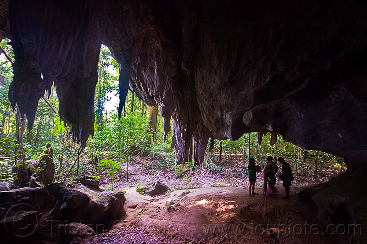 caving in mulu - racer cave (borneo), borneo, cave formations, cave mouth, cavers, caving, concretions, gunung mulu national park, malaysia, natural cave, racer cave, speleothems, spelunkers, spelunking, stalactites